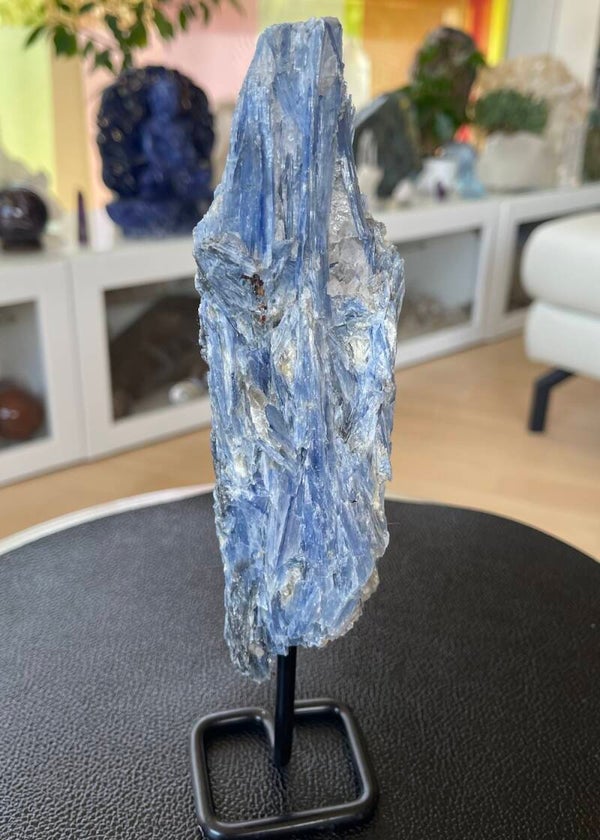 Kyaniet blauw op standaard uit Brazilië ruw, groot