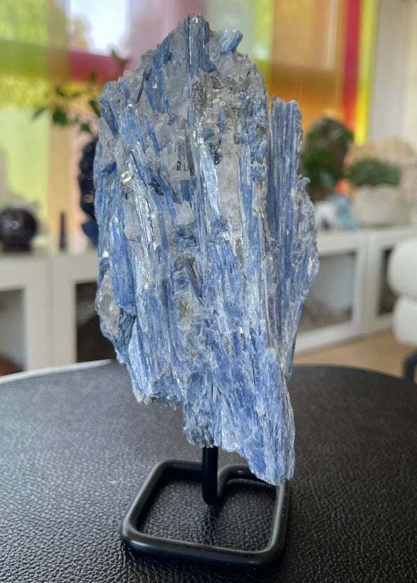 Kyaniet blauw op standaard uit Brazilië ruw, groot