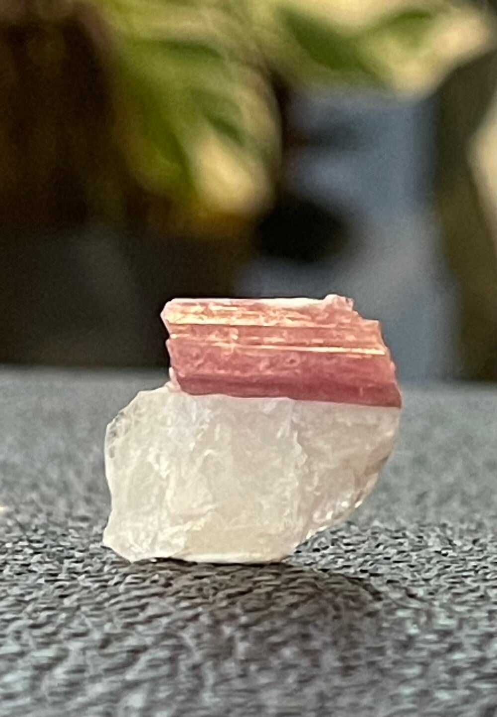Roze Toermalijn in Kwarts uit Brazilië ruw, klein