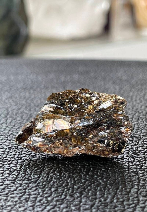 Astrofylliet uit Rusland ruw, klein