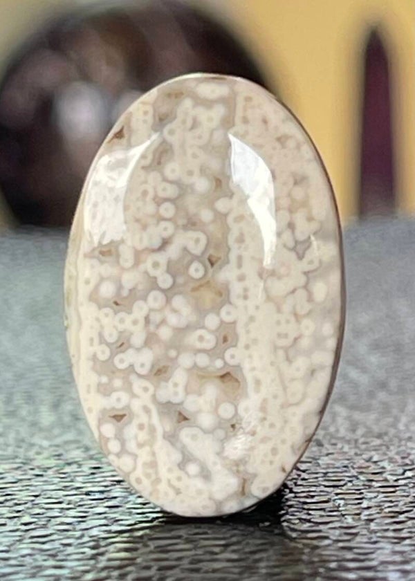 Oceaan Jaspis edelsteen cabochon ovaal, medium