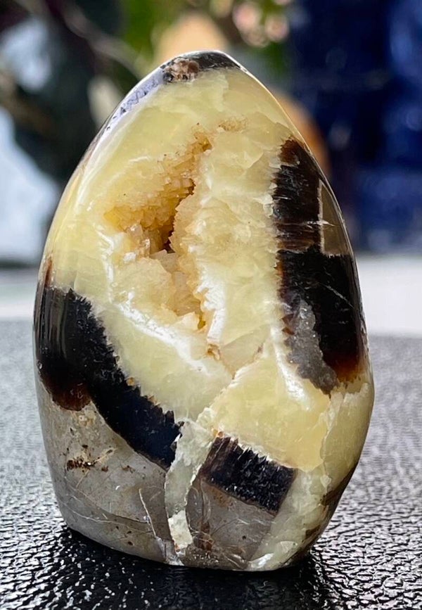 Septarie free form staand