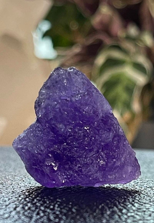 Hackmaniet uit Afghanistan ruw, klein