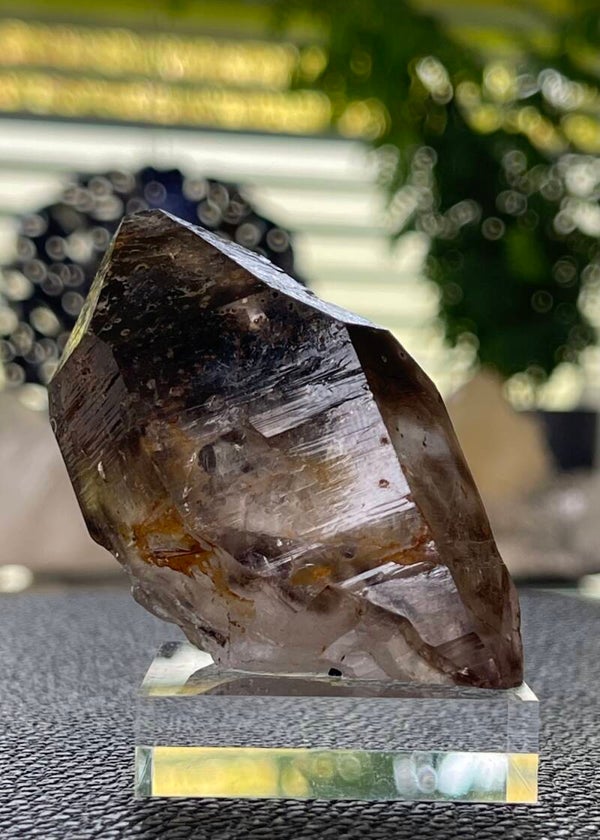Lemurische Rookkwarts punt, medium