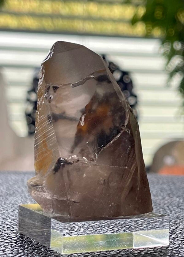 Lemurische Rookkwarts punt, medium
