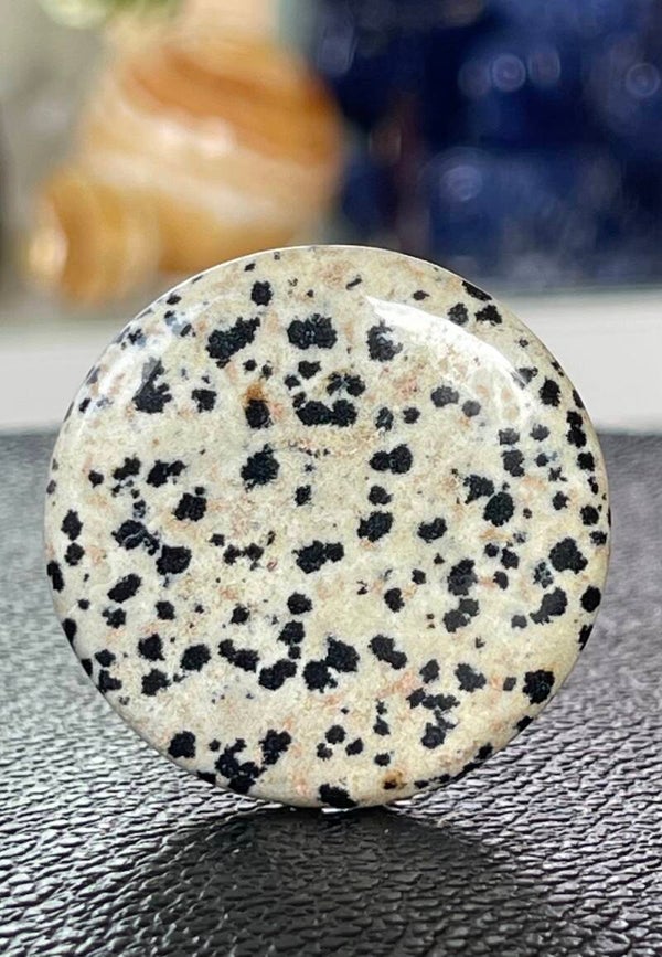 Dalmatiër Jaspis edelsteen cabochon rond, groot
