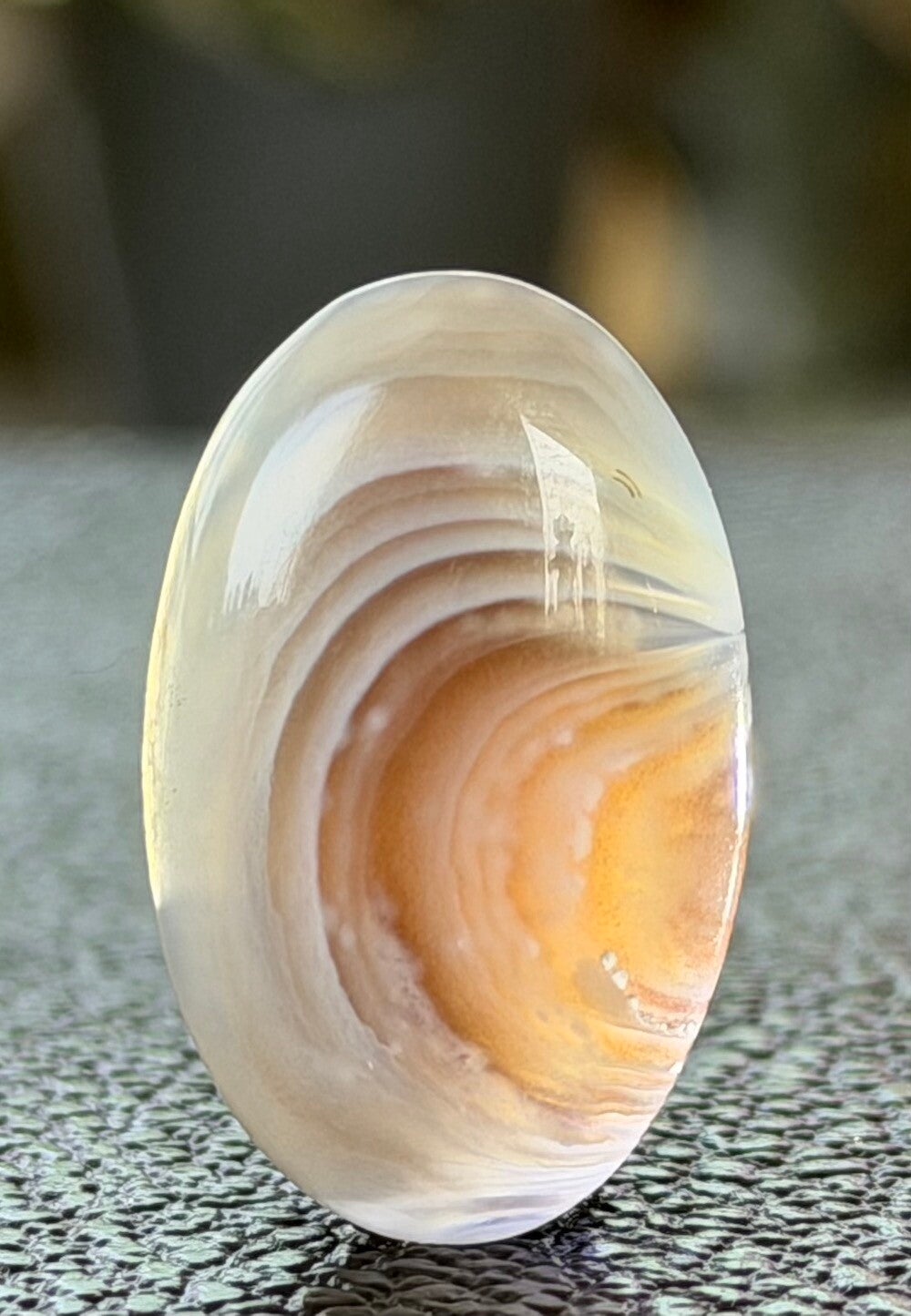 Botswana Agaat edelsteen cabochon ovaal, medium