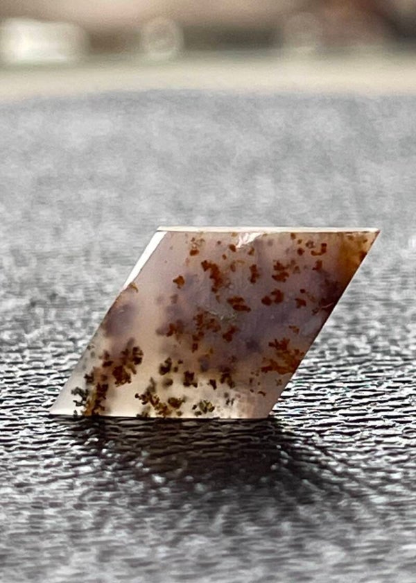 Dendriet Agaat edelsteen cabochon ruit, medium