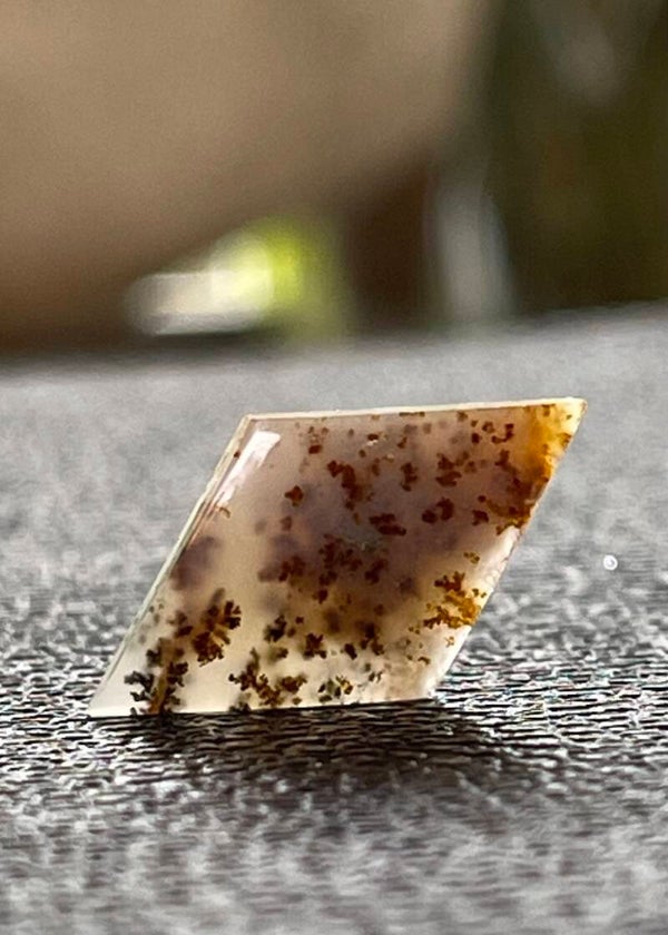 Dendriet Agaat edelsteen cabochon ruit, medium