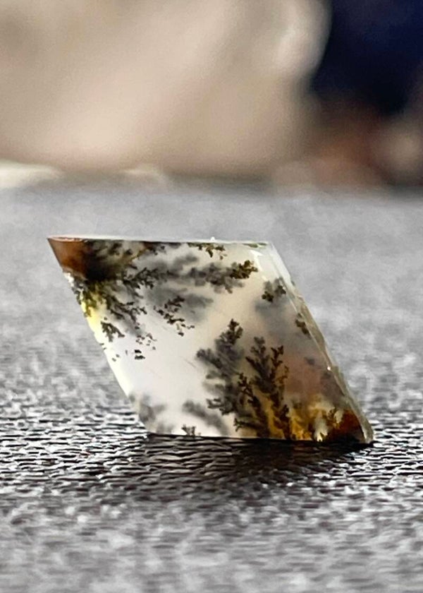 Dendriet Agaat edelsteen cabochon ruit, medium