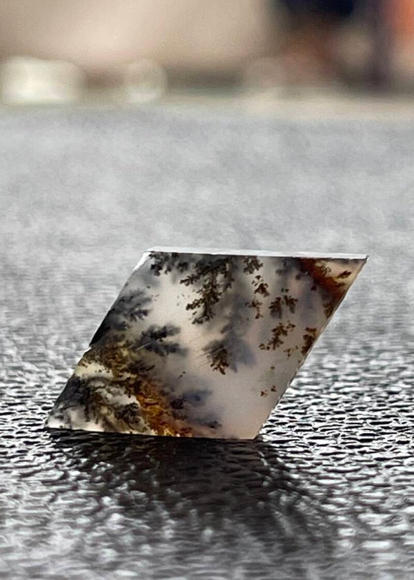 Dendriet Agaat edelsteen cabochon ruit, medium