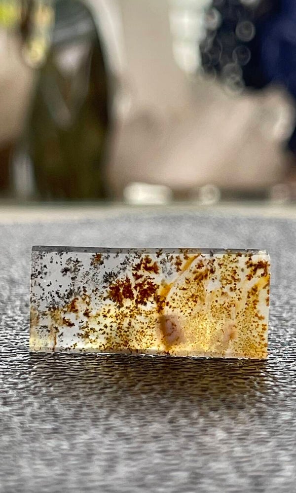 Dendriet Agaat edelsteen uit Rusland cabochon rechthoekig, medium