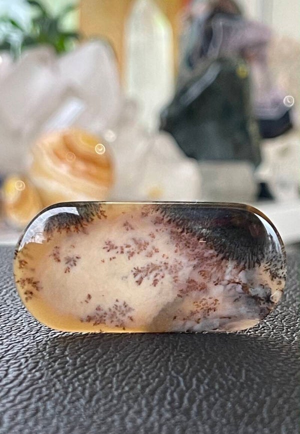 Dendriet Agaat edelsteen cabochon rechthoekig uit Rusland, groot