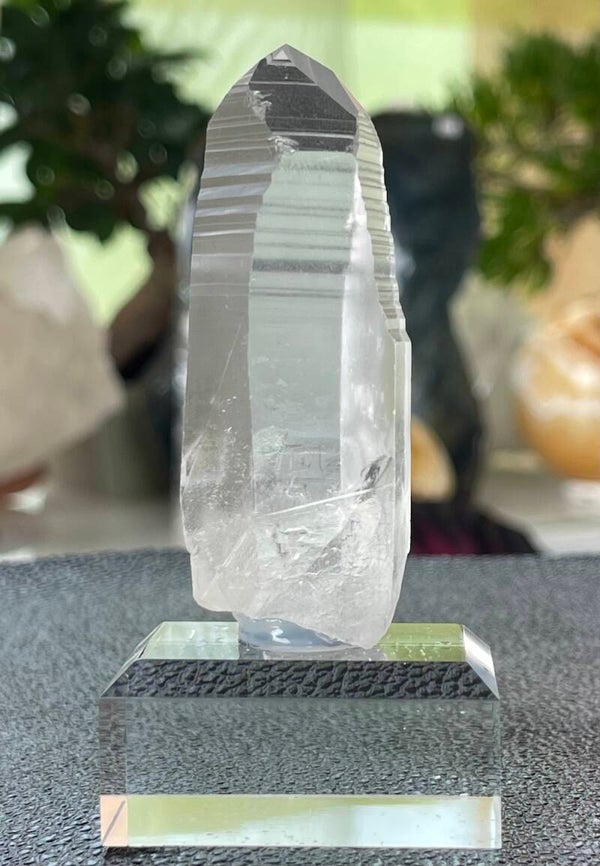 Lemurische Root Kristal punt uit Brazilië ruw, medium