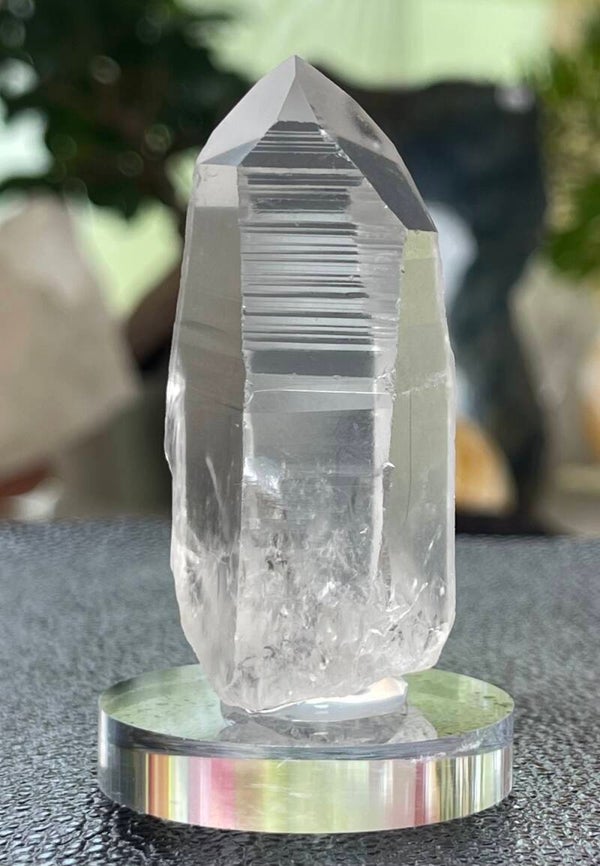 Lemurische Root Kristal punt uit Brazilië ruw, medium