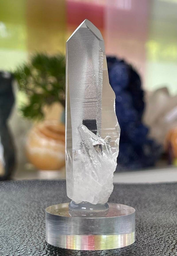 Lemurische Root Kristal punt uit Brazilië ruw, medium