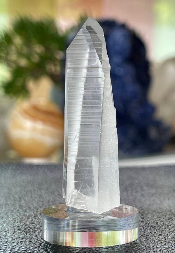 Lemurische Root Kristal punt uit Brazilië ruw, medium