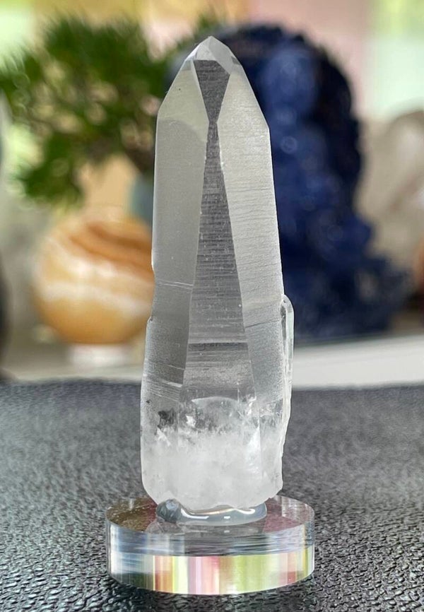 Lemurische Root Kristal punt uit Brazilië ruw, medium