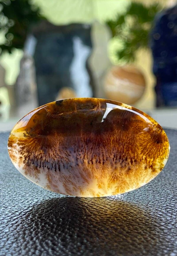Dendriet Agaat edelsteen cabochon ovaal uit Rusland, groot