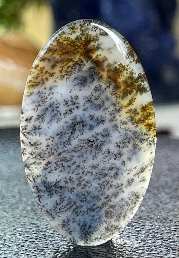 Dendriet Agaat edelsteen cabochon ovaal uit Rusland, groot