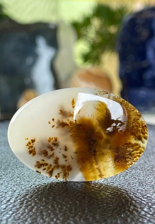 Dendriet Agaat edelsteen cabochon ovaal uit Rusland, groot