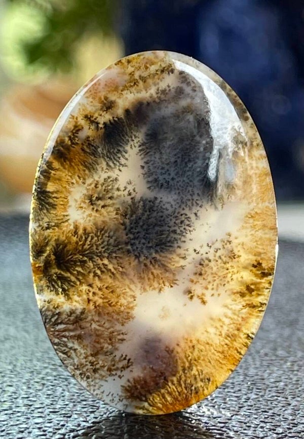 Dendriet Agaat edelsteen cabochon ovaal uit Rusland, groot