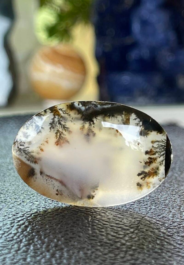 Dendriet Agaat edelsteen cabochon ovaal uit Rusland, groot