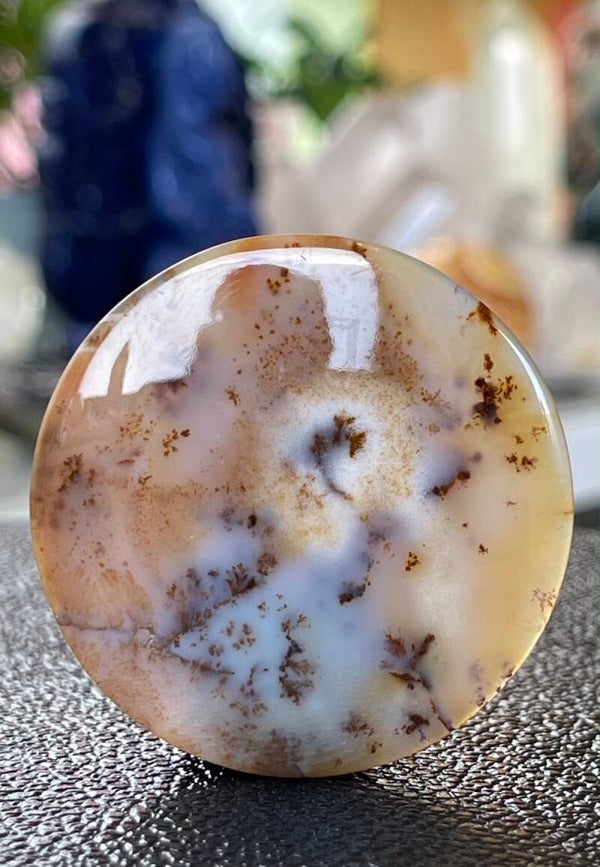 Dendriet Agaat edelsteen cabochon rond uit Rusland, groot
