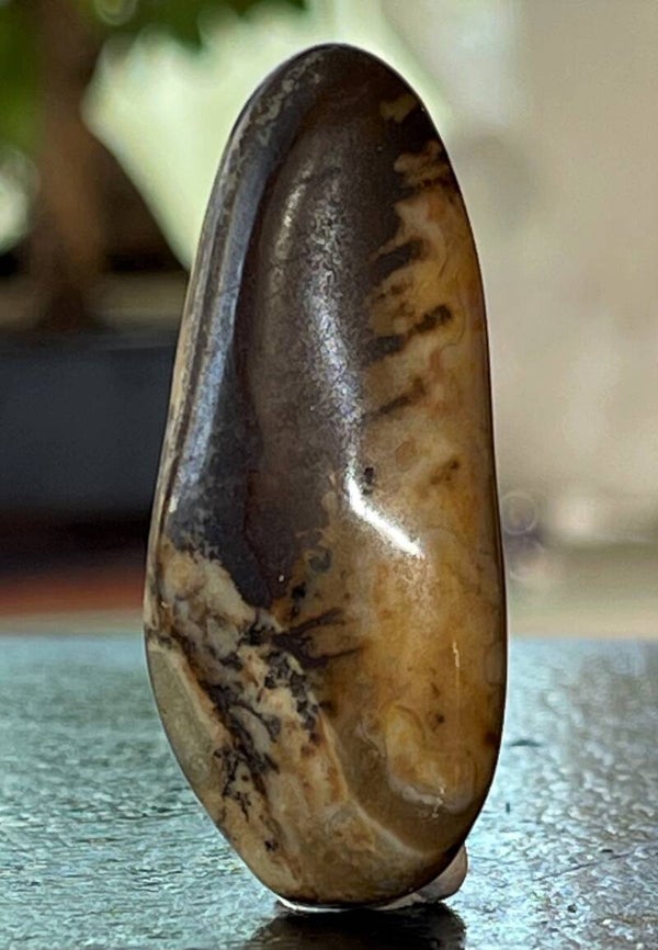 Jaspis Kalahari trommelsteen