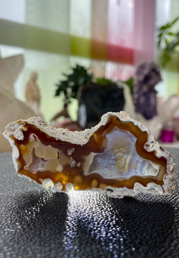 Koraal geagatiseerd, één zijde gepolijst, medium