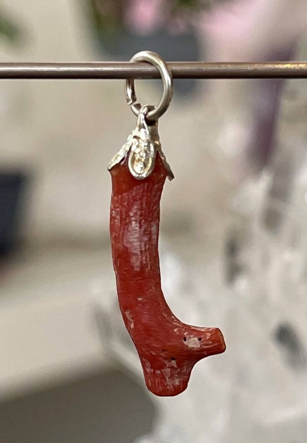 Koraal hangertje, takje, met veter