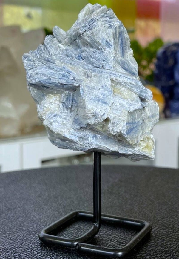 Kyaniet blauw op standaard uit Brazilië ruw, medium-groot