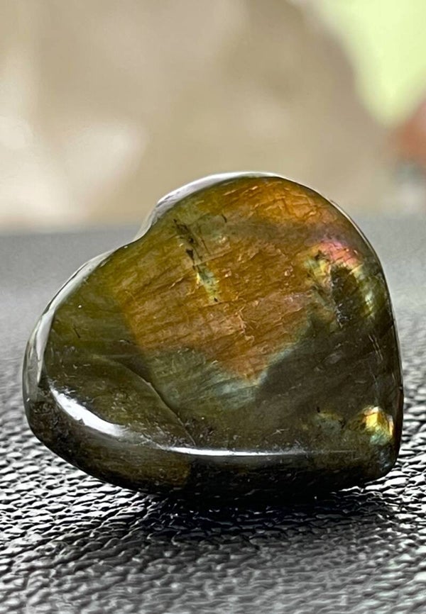 Labradoriet hart, klein