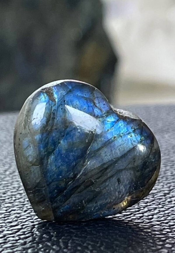 Labradoriet hart, klein