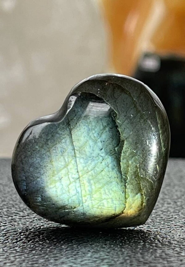 Labradoriet hart, klein