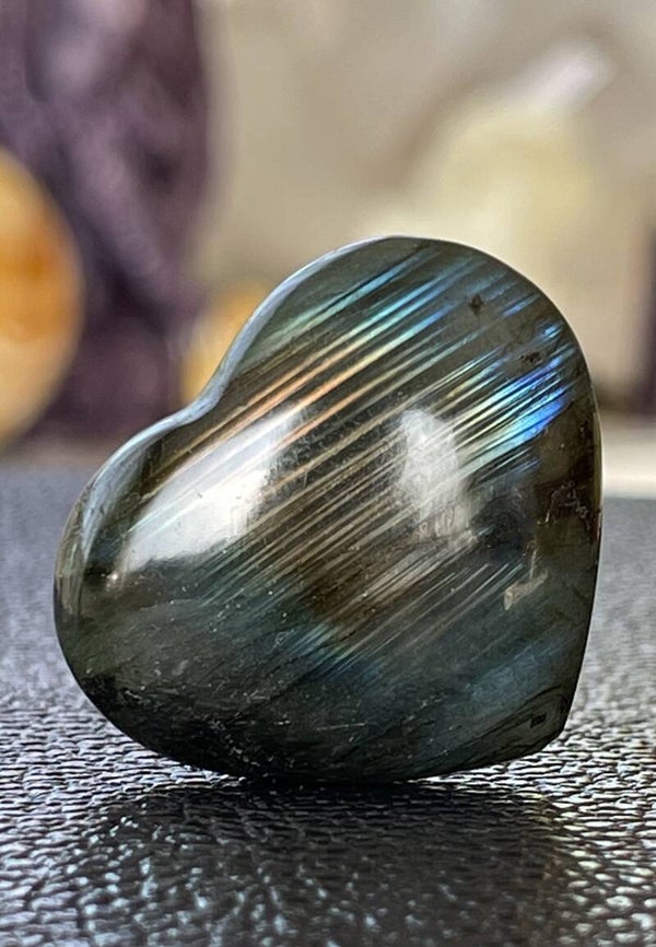 Labradoriet hart, klein