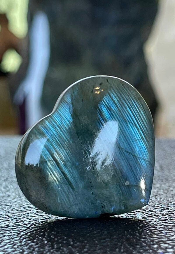 Labradoriet hart, klein