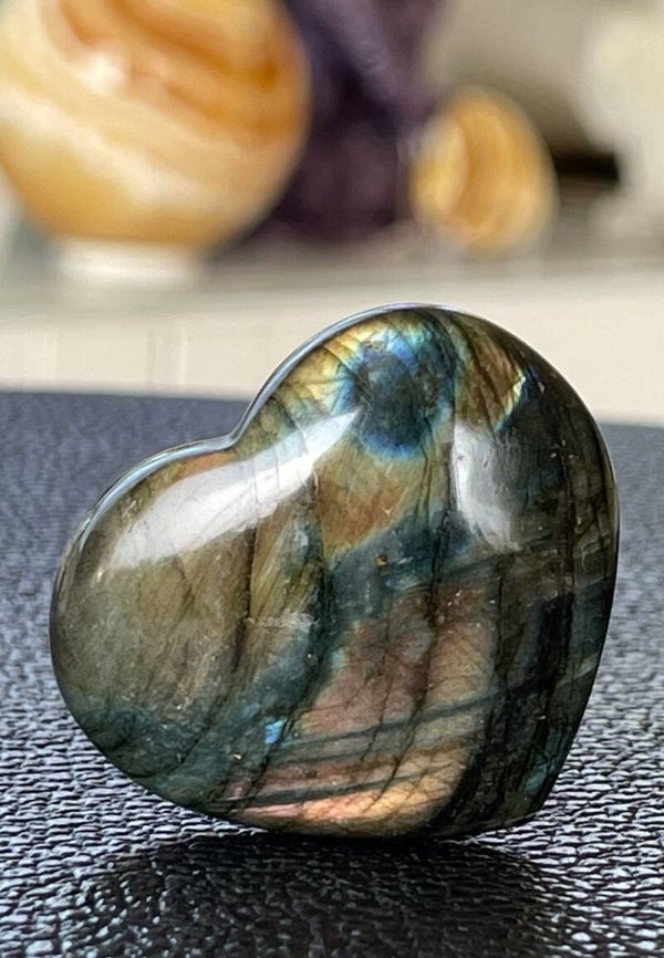 Labradoriet hart, klein