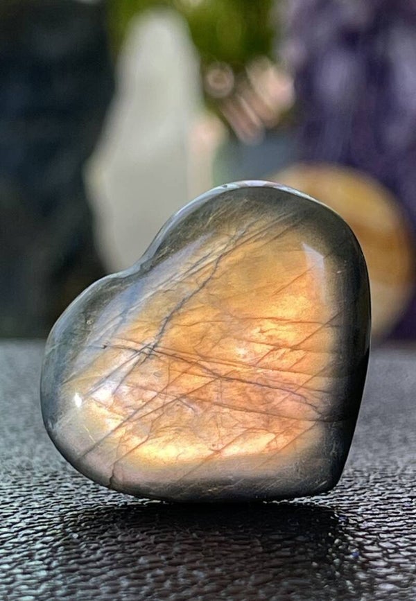 Labradoriet hart, klein