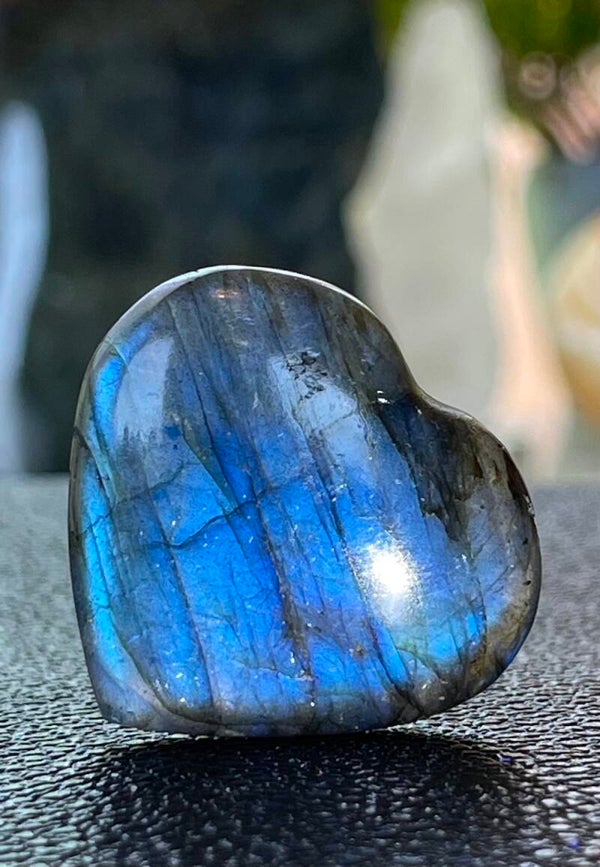 Labradoriet hart, klein