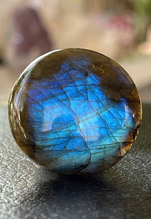 Labradoriet edelsteen cabochon rond, medium