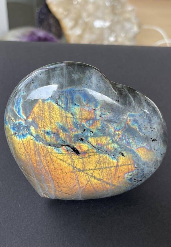 Labradoriet hart, groot