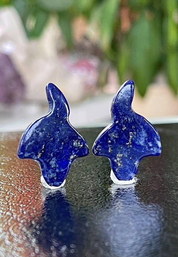 Lapis Lazuli met Pyriet edelsteen cabochon free form per paar, medium