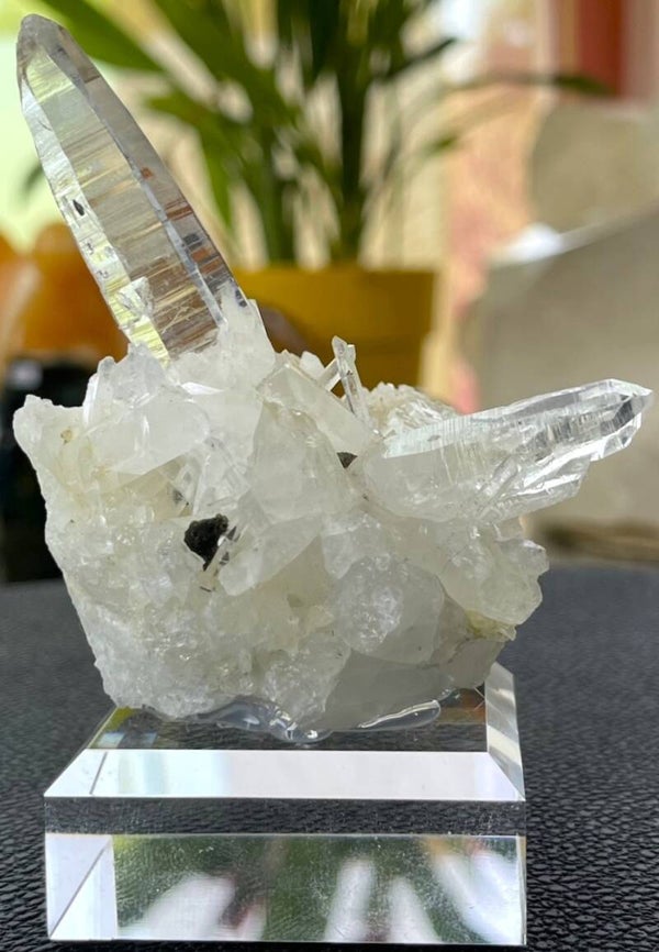 Lemurische Laserkwarts punt, cluster ruw, medium