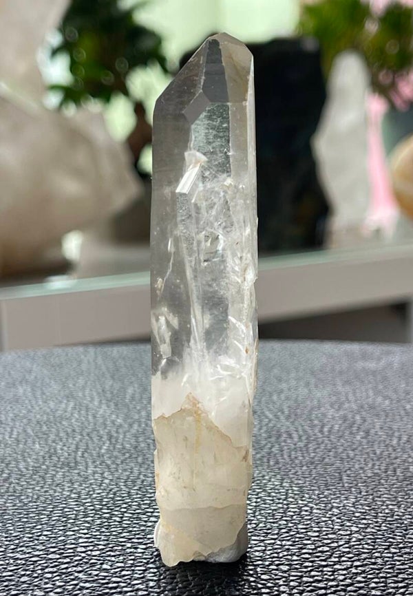 Lemurische Zaadkristal punt ruw, medium