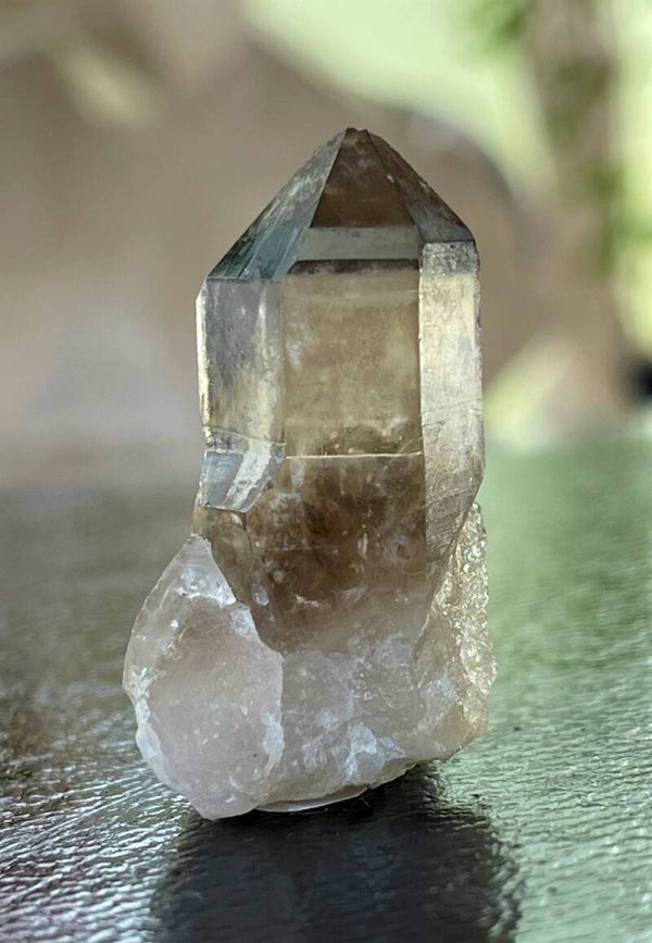 Citrien Lemurische punt ruw, klein