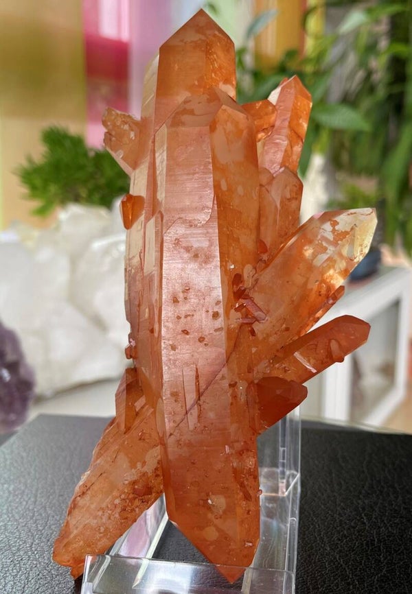 Lemurian Tangerinekwarts dubbeleinder punt, groot