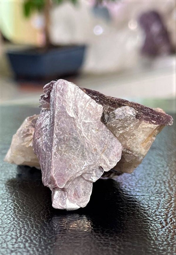 Lepidoliet ruw, klein-medium