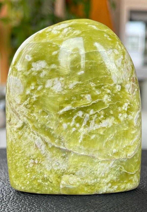 Lizardiet free form staand