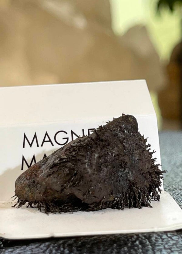 Magnetiet uit Mexico ruw, klein